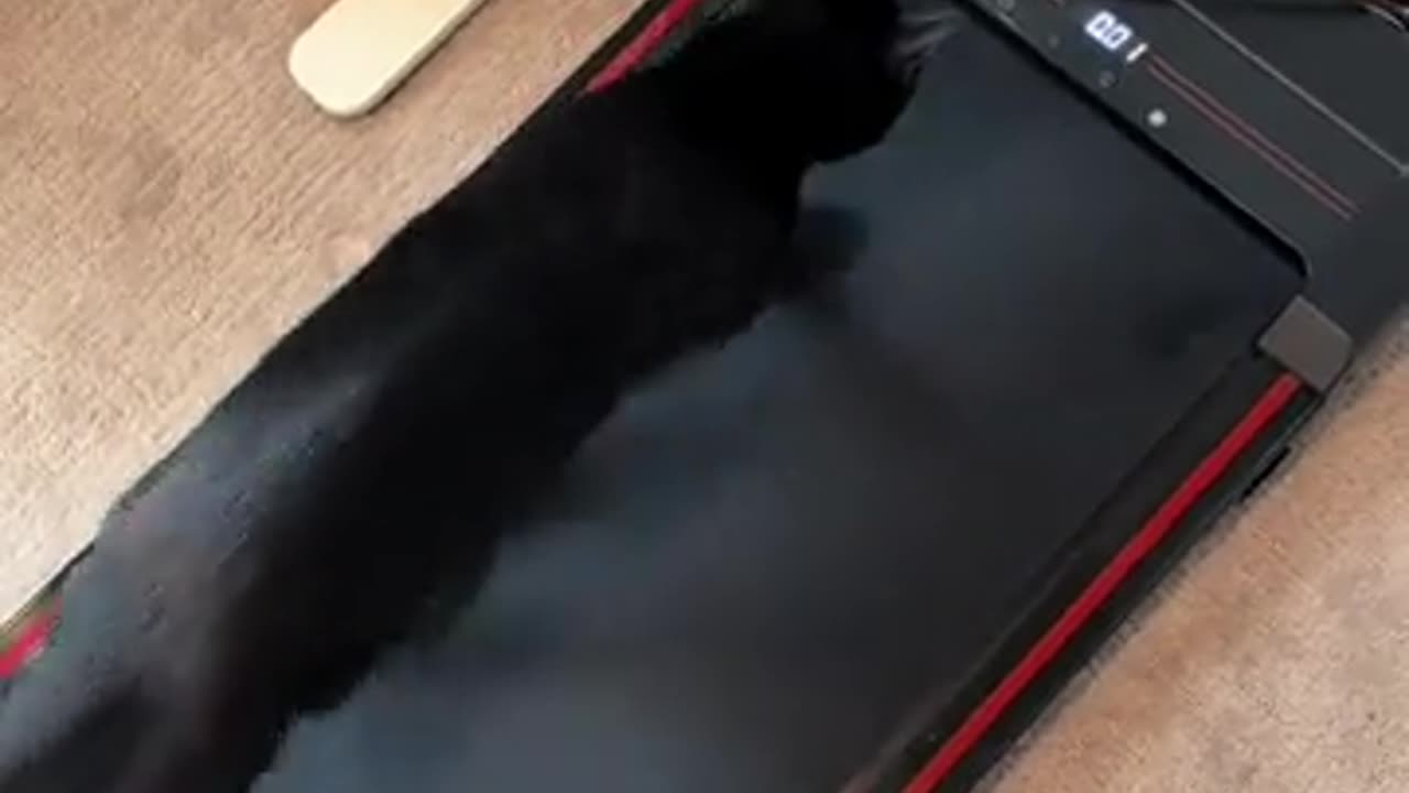 Treadmill