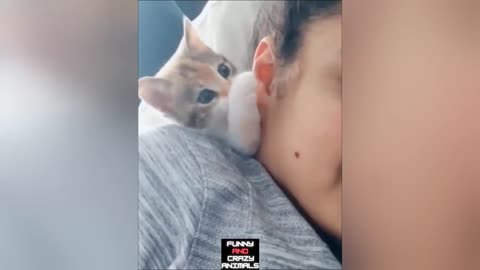 SUPER CUTE PETS VIDEO _ Funny Animal Videos _ Funny And Crazy A