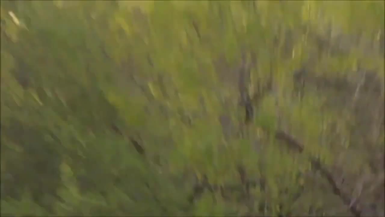 Un orbe a été vu très près, il y a un objet étrange dans le ciel