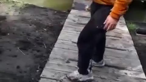 Fish with 9 lives