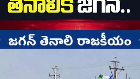 జగన్ తెనాలి రాజకీయం RAVI REPORTS TELUGU NEWS