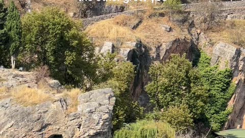 International Students