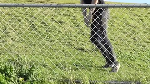 Animals vs Fences: Who Wins? 🐒🦘😂