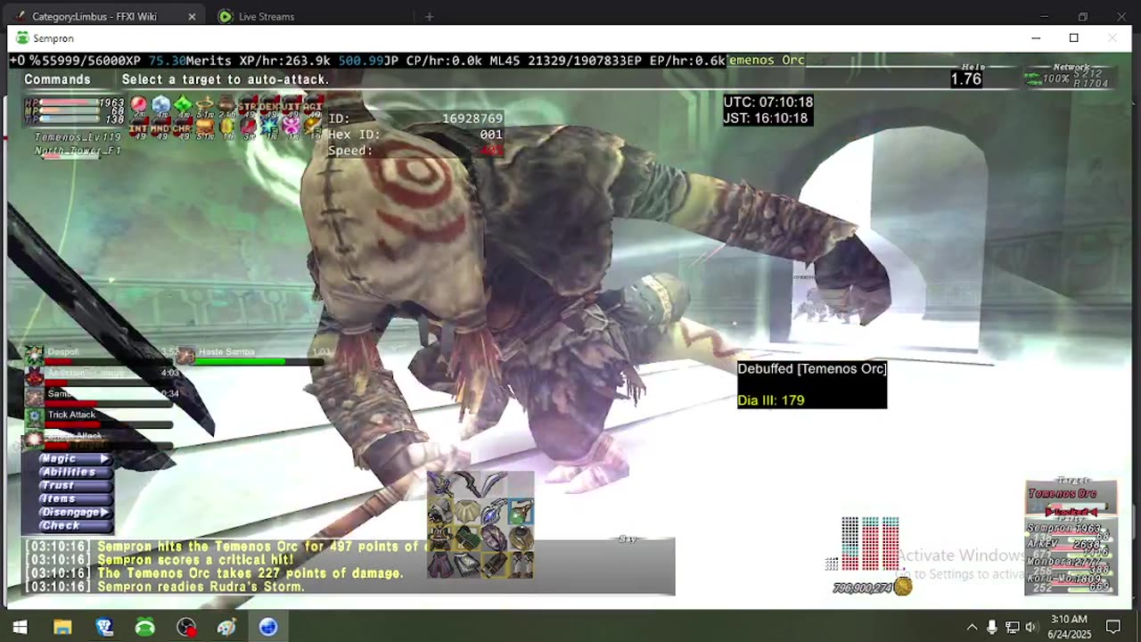 Playing Final Fantasy XI Online