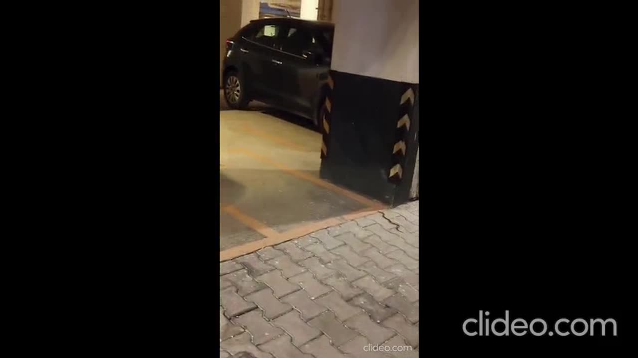 snake moving in smarttown #smarttown #snake