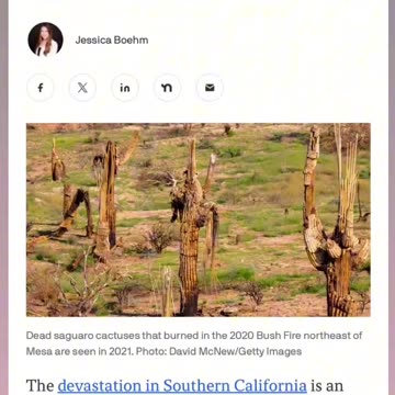 "Bill Gates wants to build a smart city in Arizona called Belmont."