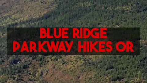 Asheville Solo Budget Finds and Insider Tips