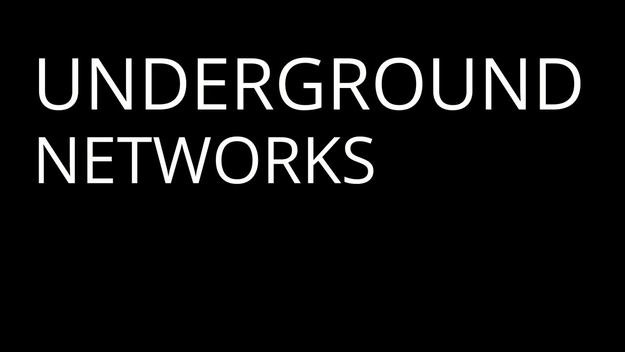 Survival in Shadows | Kafka - Part 5