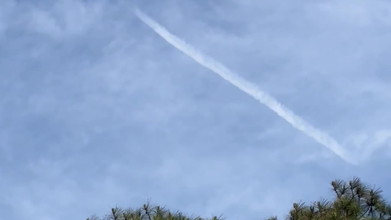 Nut bags at it still obx nc 5-9-2025