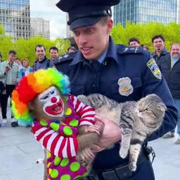 Chaos, Claws, and Clowning Around