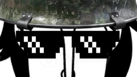why you should join the PWTD
