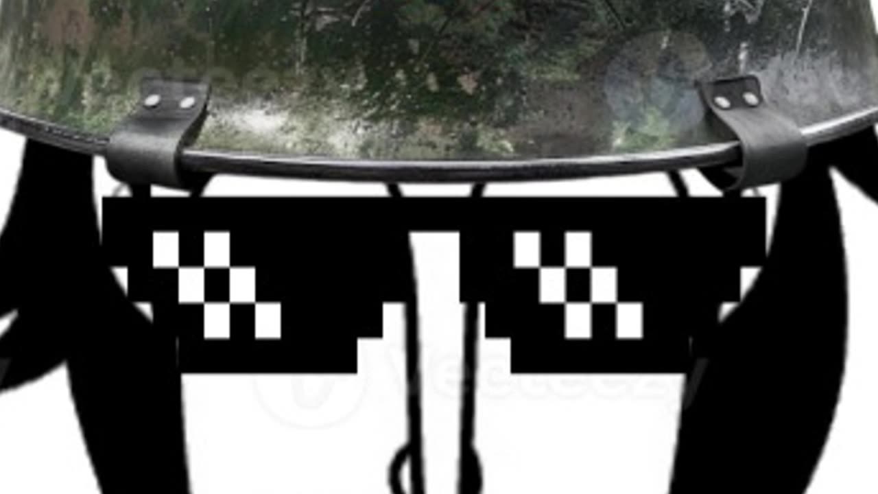 why you should join the PWTD