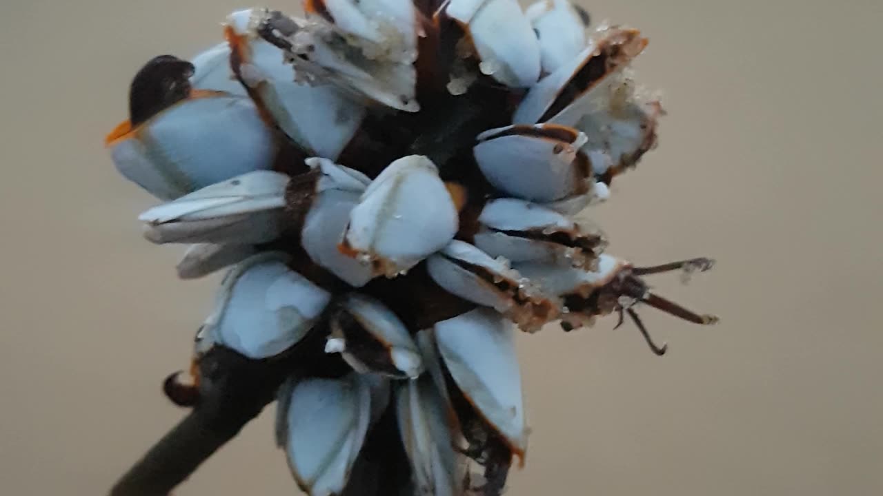 Amazing found it.i dont know what is๐