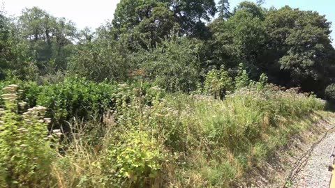 Totnes steam railway station to Buckfastleigh Southwest Steam Rilway Britain Part 2 of 3.