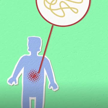 Skin gut connection health