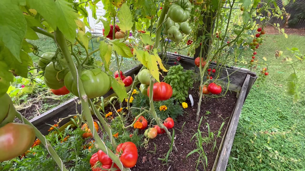 Garden Talk - August 25, 2025 🇺🇸