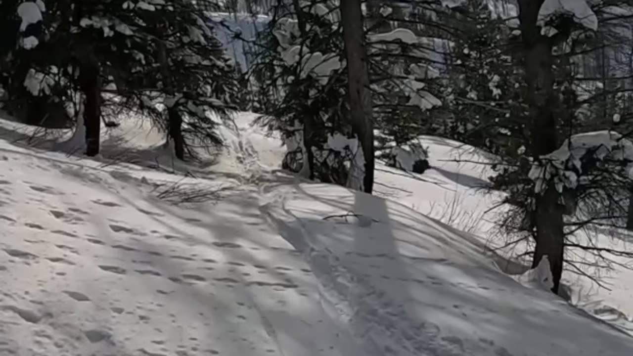 Splitboard w/ Friends: Lap 3