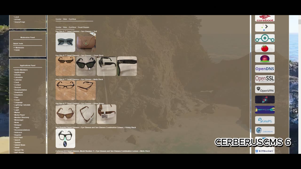 [2025-06-03] CerberusCMS - 6 - SVD - Application - Travel - Video File Part - 03 OF 12