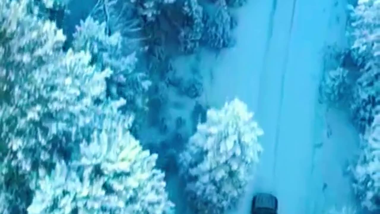 Se Você Persistir, Nada Pode Te Parar