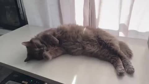 When you are caught at work