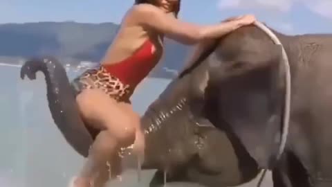 The elephant was just joking 😄🐘