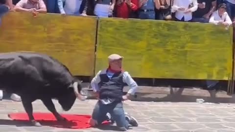 🐃😂 Matador Trouble? No Problem! | FunFM