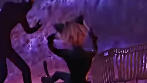 I will take the bullet for you #miraculousladybug #miraculousawakening #catnoir