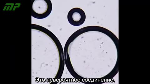 Анализ под оптическим микроскопом вакцины против кори