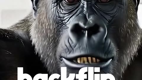 Gorilla Tries Backflip, Fails Hilariously! 😂 Blueband vlogs