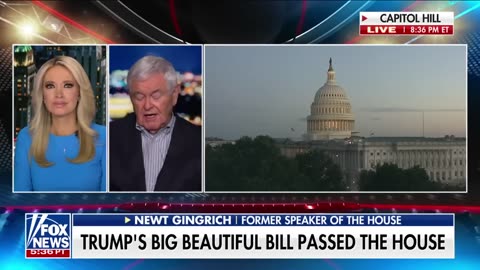 ‘BOOM’: Newt Gingrich says we are on the edge of a historic economy