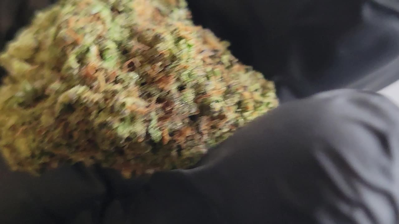 Acid Cream THC Flower