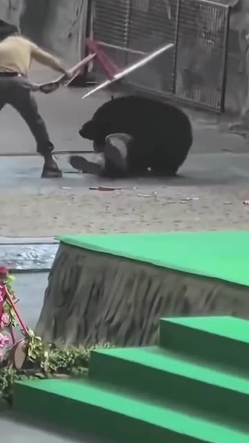 Bear attack