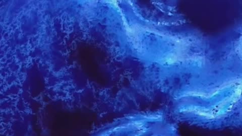 From Plato to Nietzsche in 1 Minute (Western Philosophy)