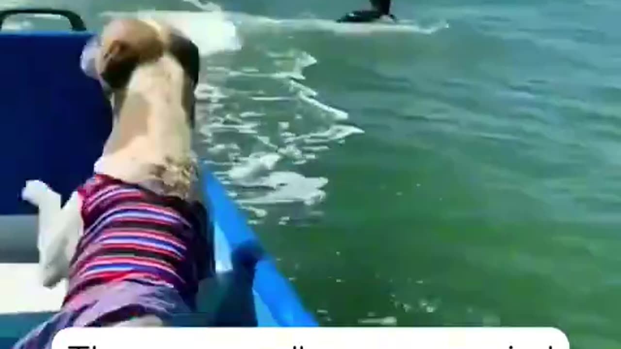 I'll Save You!