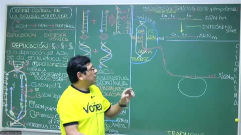 VONEX REPASO 2025 - 1 | Semana 03 | Biología S2