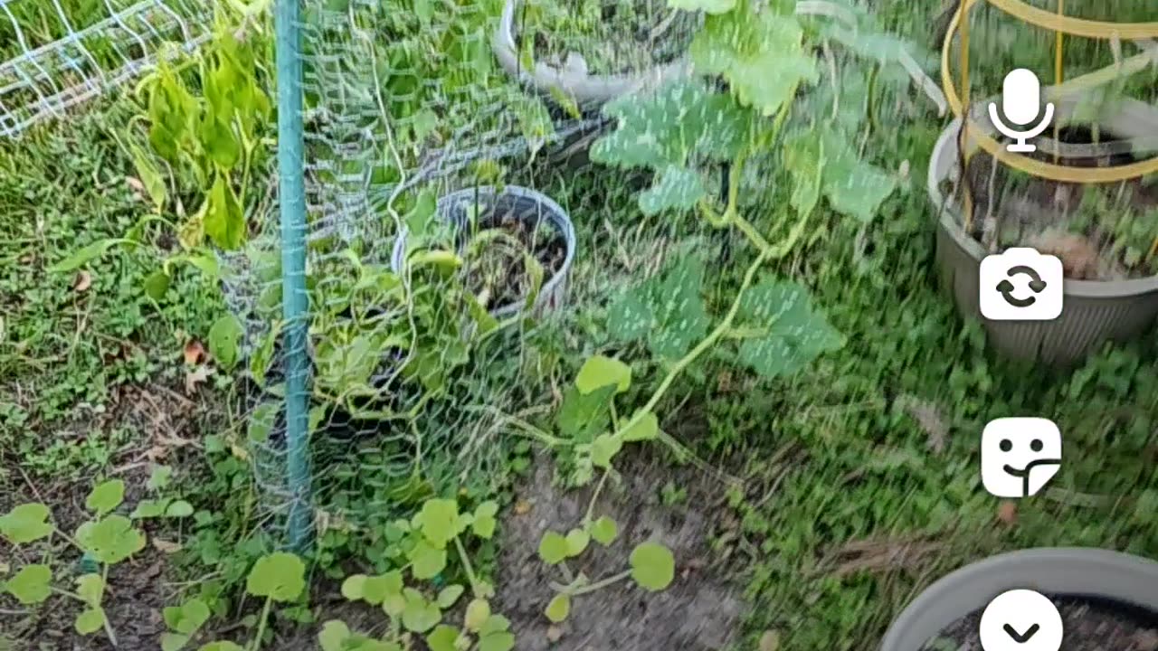 Sunday afternoon live 10,19,2025