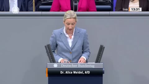 Gnadenlos mit dem Klartext-Hammer gegen Merz Alice Weidel in Bestform - AfD-Fraktion im Bundestag