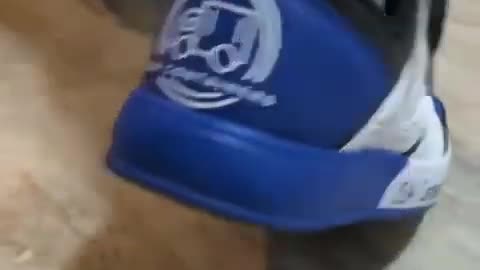 When USA Containers becomes more than a container company 🔥👟