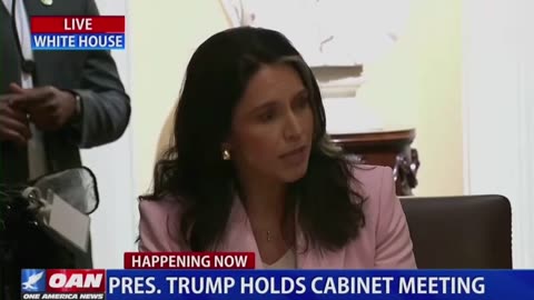 Homeland Security Secretary Tulsi Gabbard confirms voting machines are highly vulnerable