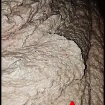 Chicken nuggets 🤯🤬🤮