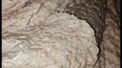 Chicken nuggets 🤯🤬🤮