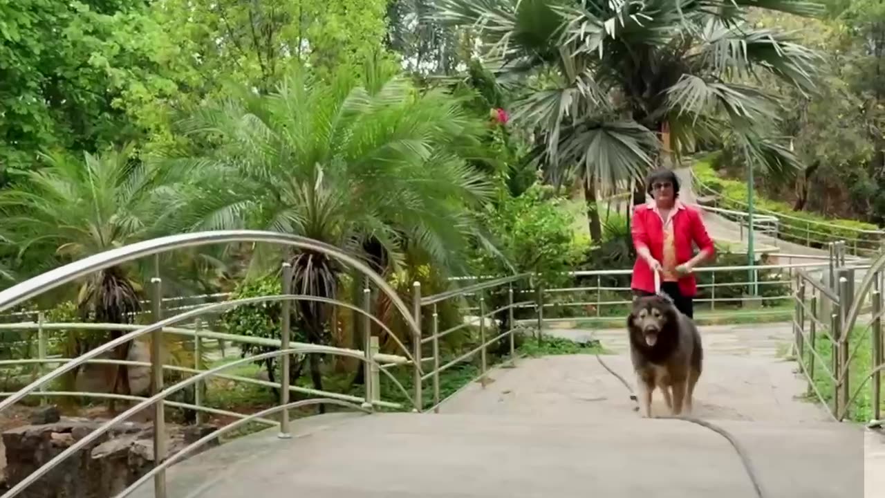 El ‘perro lobo’ que cuesta 5,8 millones de dólares