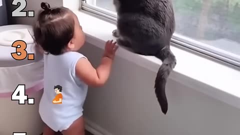 Ranking Best Cat Speaking English Moments