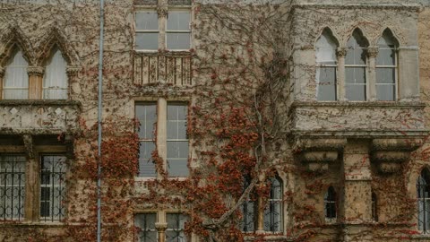 Woman I Need [Instrumental]