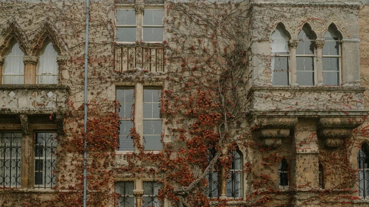 Woman I Need [Instrumental]