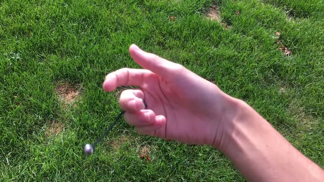Begleri tutorial_ Zoot