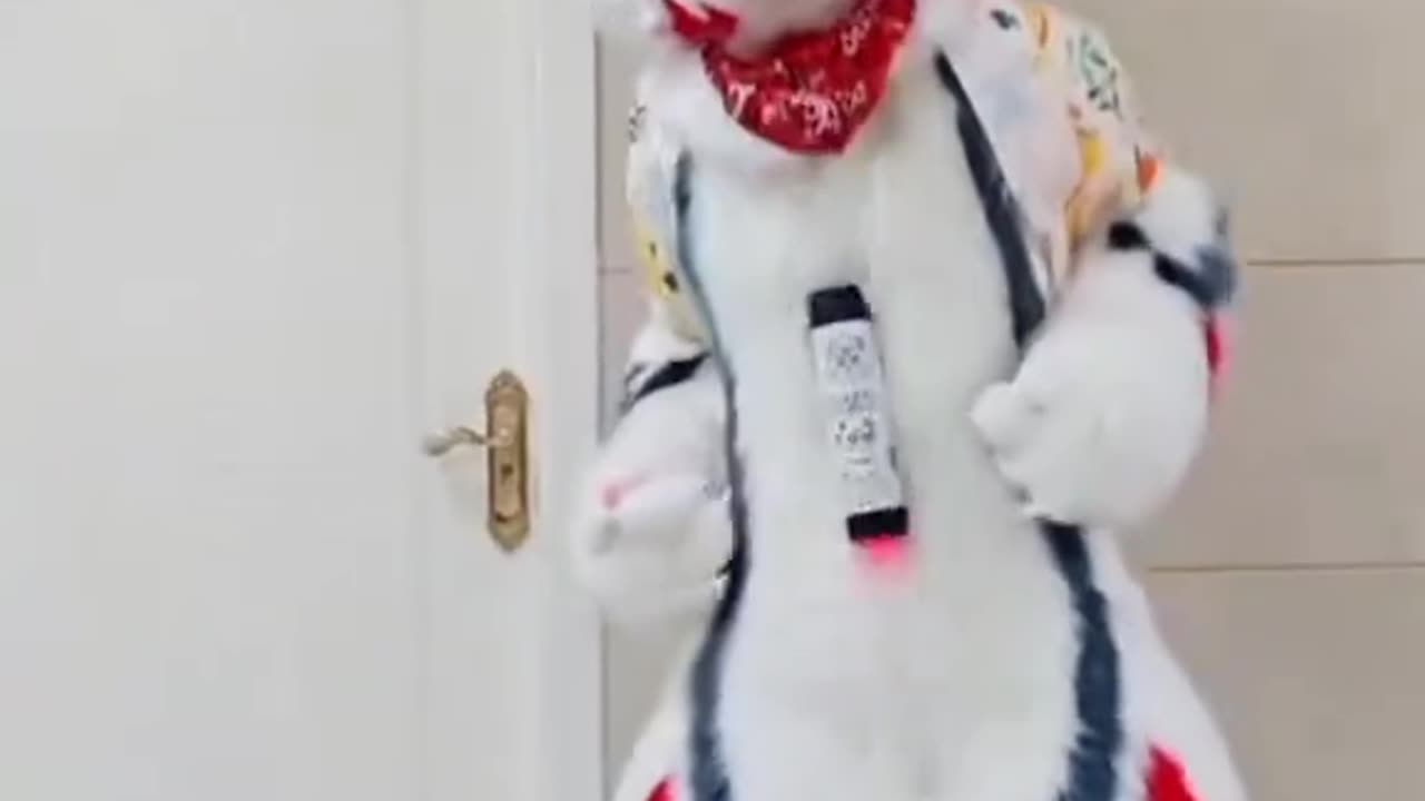 .