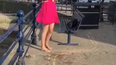 Heartwarming moment where a dog named Milo,retrieves a ball that has fallen into the water.