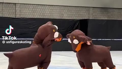 😂🐶 Watch These Dogs Breakdance on Ice – Insane! | FunFM