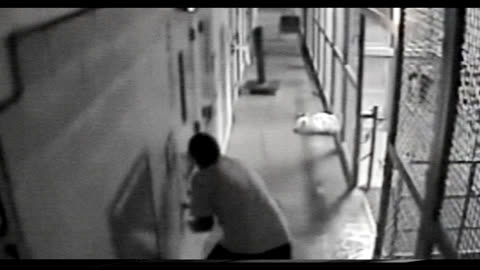 BASTARÐUR - "Burn" (Official Music Video)